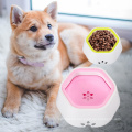 Wholesale Non-wet Mouth Beard Non Slip Splash Prevent Floating Cat Dog Pet Drinking Water Dispenser Bowl